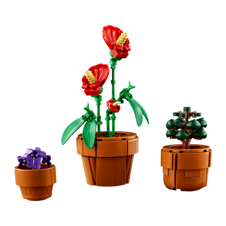 Конструктор — миниатюрные растения LEGO Icons Botanical Collection (#10329) — фото 3