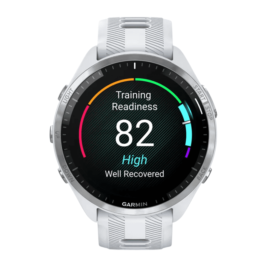 Спортивные часы Garmin Forerunner 965, силиконовый ремешок цвета «Уайтстоун»/«серая пудра» — фото 2