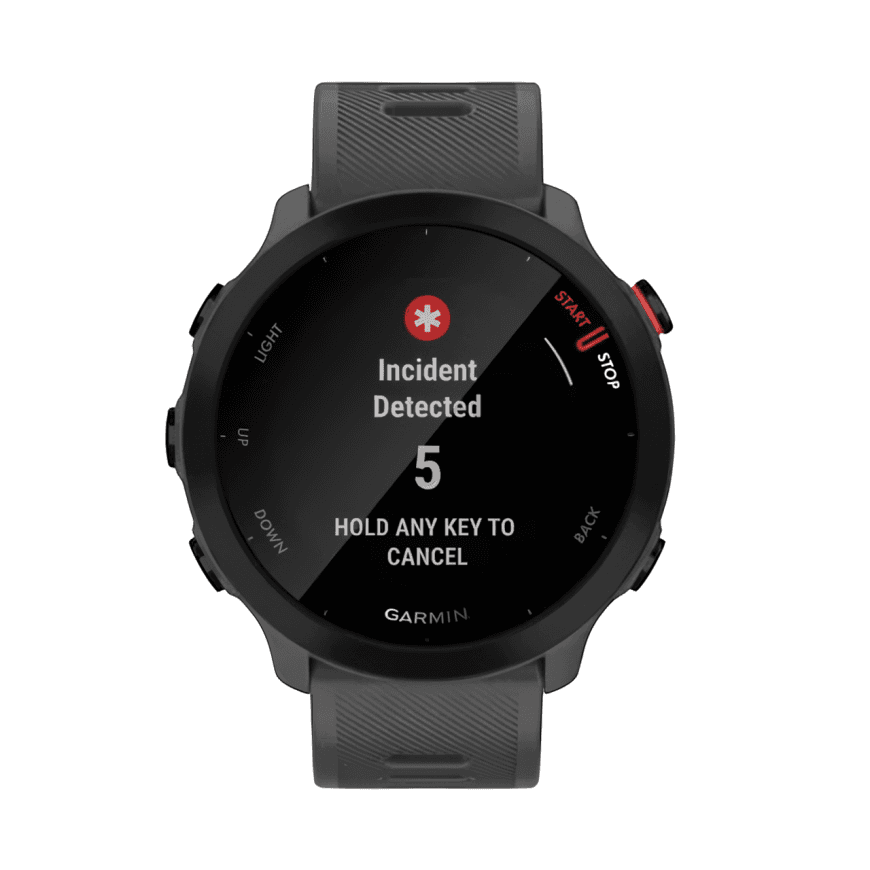 Спортивные часы Garmin Forerunner 55, «скальный серый» силиконовый ремешок — фото 5