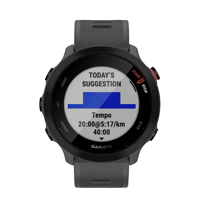 Спортивные часы Garmin Forerunner 55, «скальный серый» силиконовый ремешок — фото 4