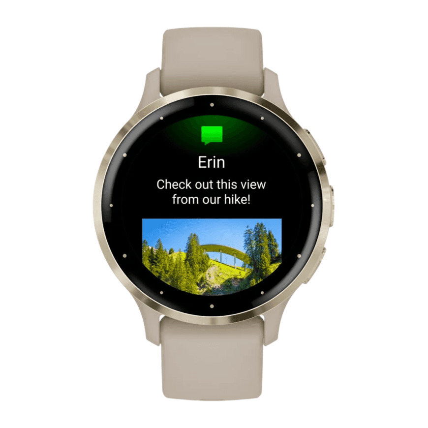 Спортивные часы Garmin Venu 3S, 41 мм, «французский серый» силиконовый ремешок — фото 6